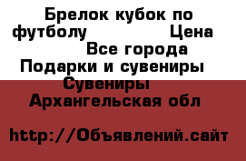 Брелок кубок по футболу Fifa 2018 › Цена ­ 399 - Все города Подарки и сувениры » Сувениры   . Архангельская обл.